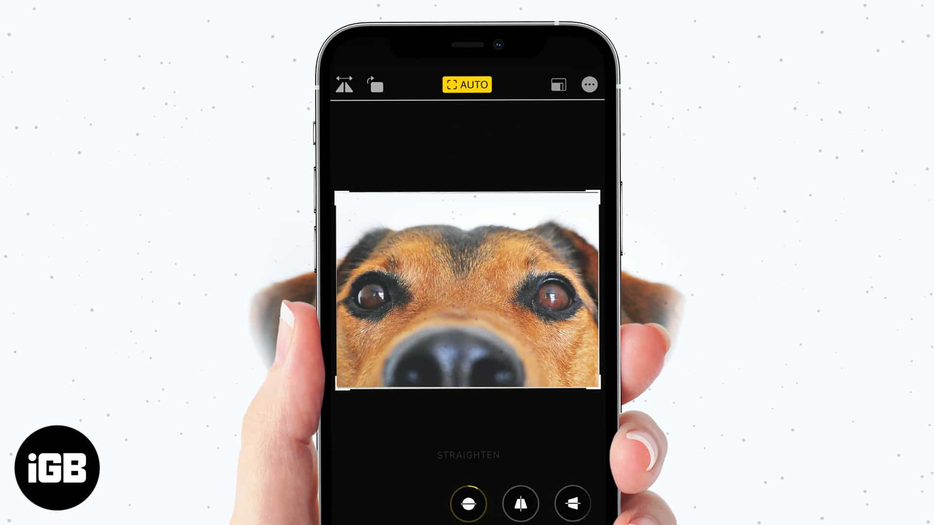 How to crop photos on iphone and ipad