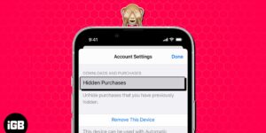 How to hide App Store purchases on iPhone iPad and Mac