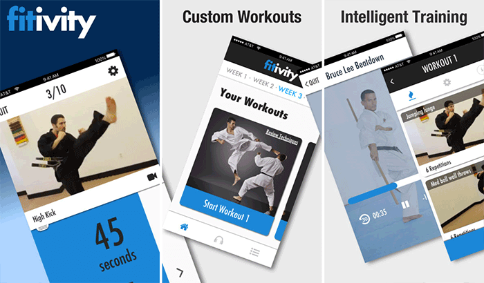 Karate Training Program Self-Defense iPhone App Screenshot