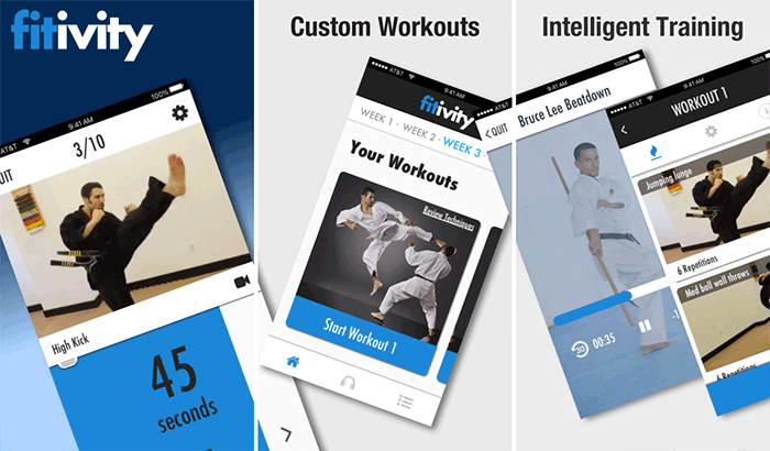 Karate Training Program Self Defense iPhone App Screenshot