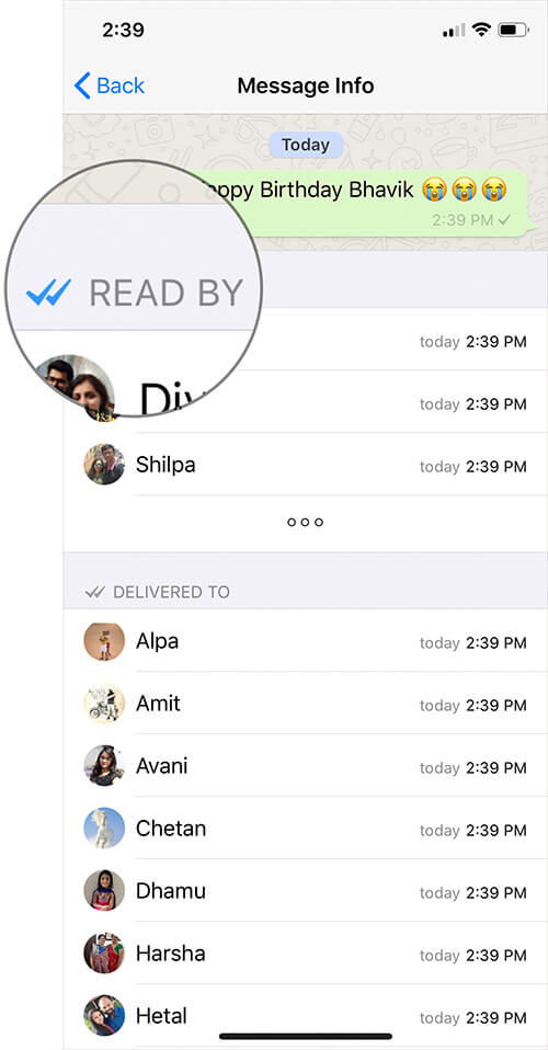 How to Know Who Has Read WhatsApp Group Message on iPhone - 33