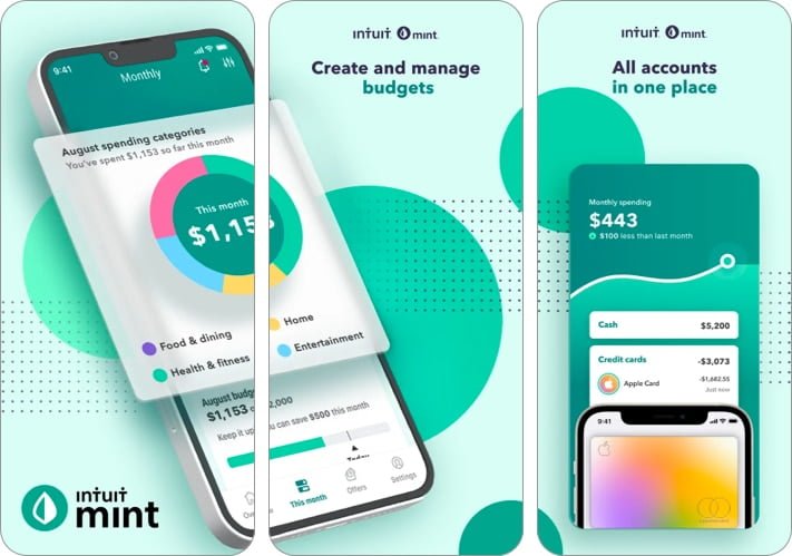Mint best New Year resolution app for iPhone and iPad
