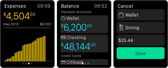 Money Pro Personal Finance Apple Watch App Screenshot