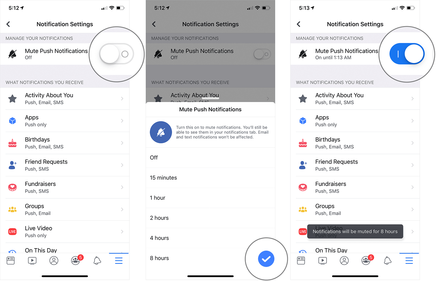 Mute All Facebook Notifications on iPhone or iPad