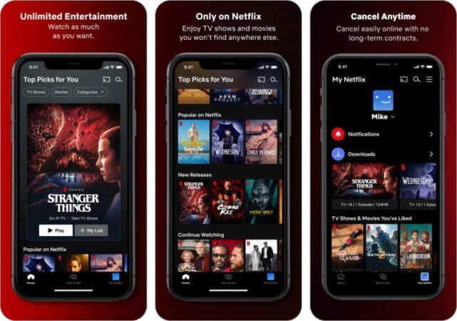 Netflix-best Thanksgiving app for iPhone