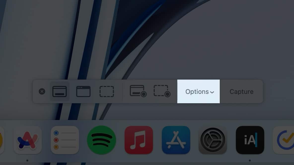 Options on Screenshot tool