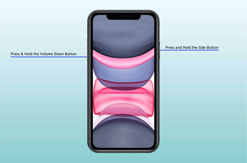 Press hold the side button volume down button on iphone 11 800x527 1