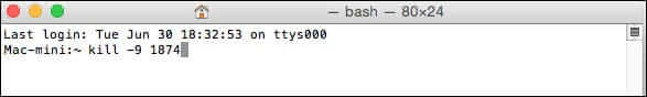 Run Kill App Command on Mac