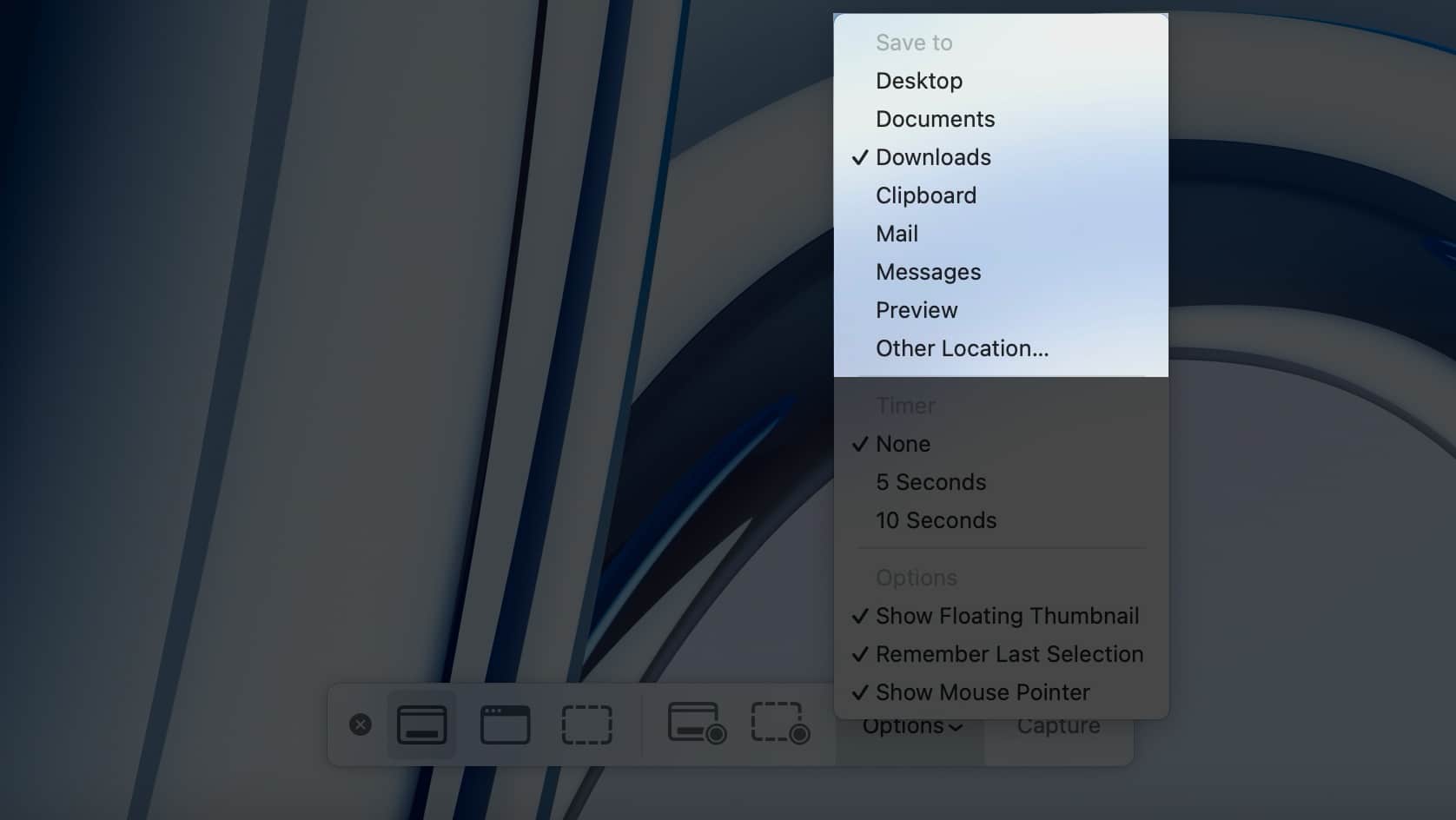 Save to options in Screenshot tool on Mac