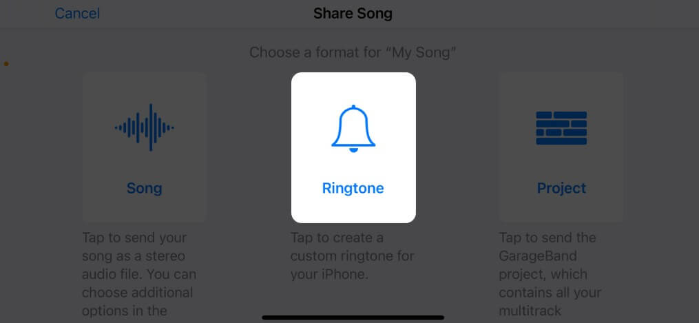 Select Ringtone and tap Export on iPhone
