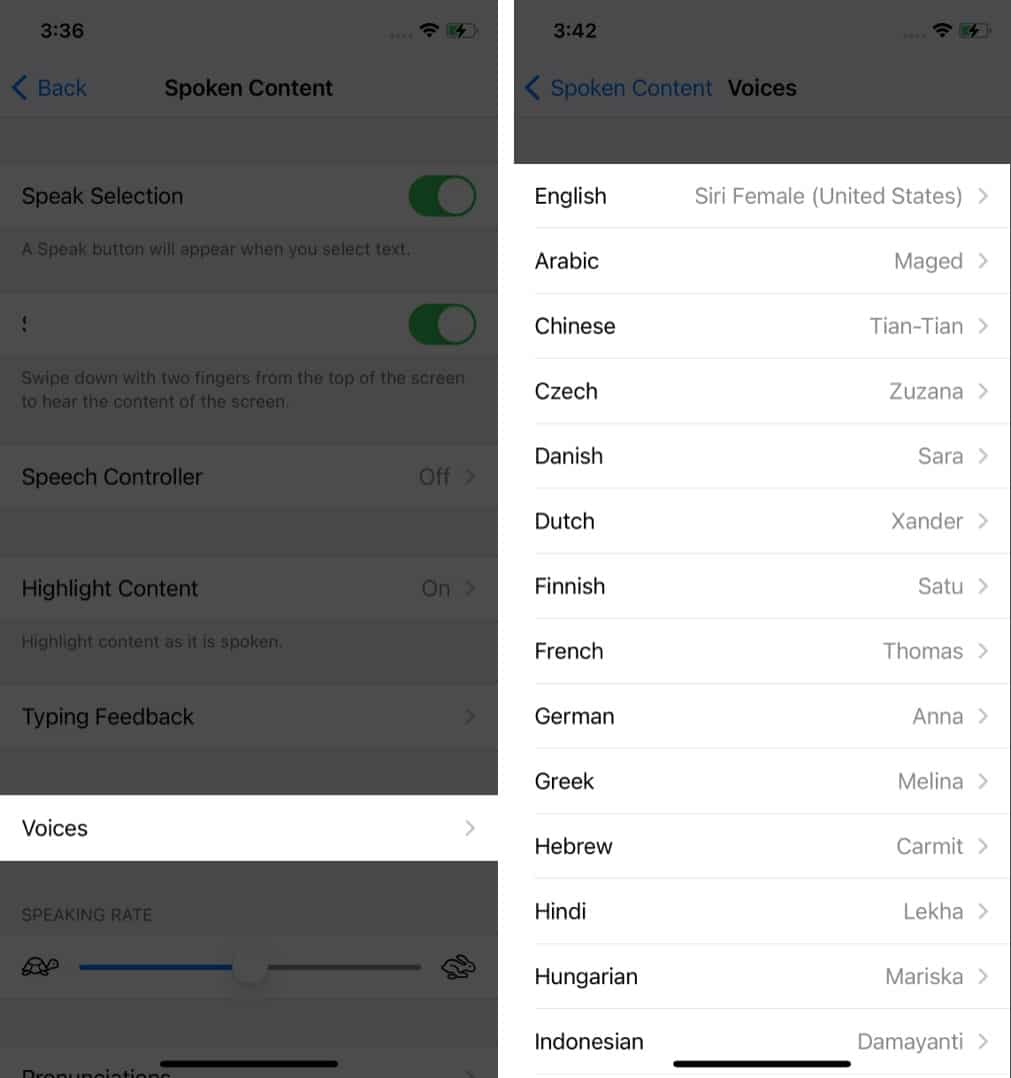 Select a different voice and language to make Siri speak on iPhone