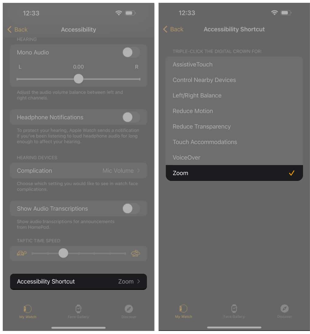 Set Apple Watch accessibility shortcut on iPhone