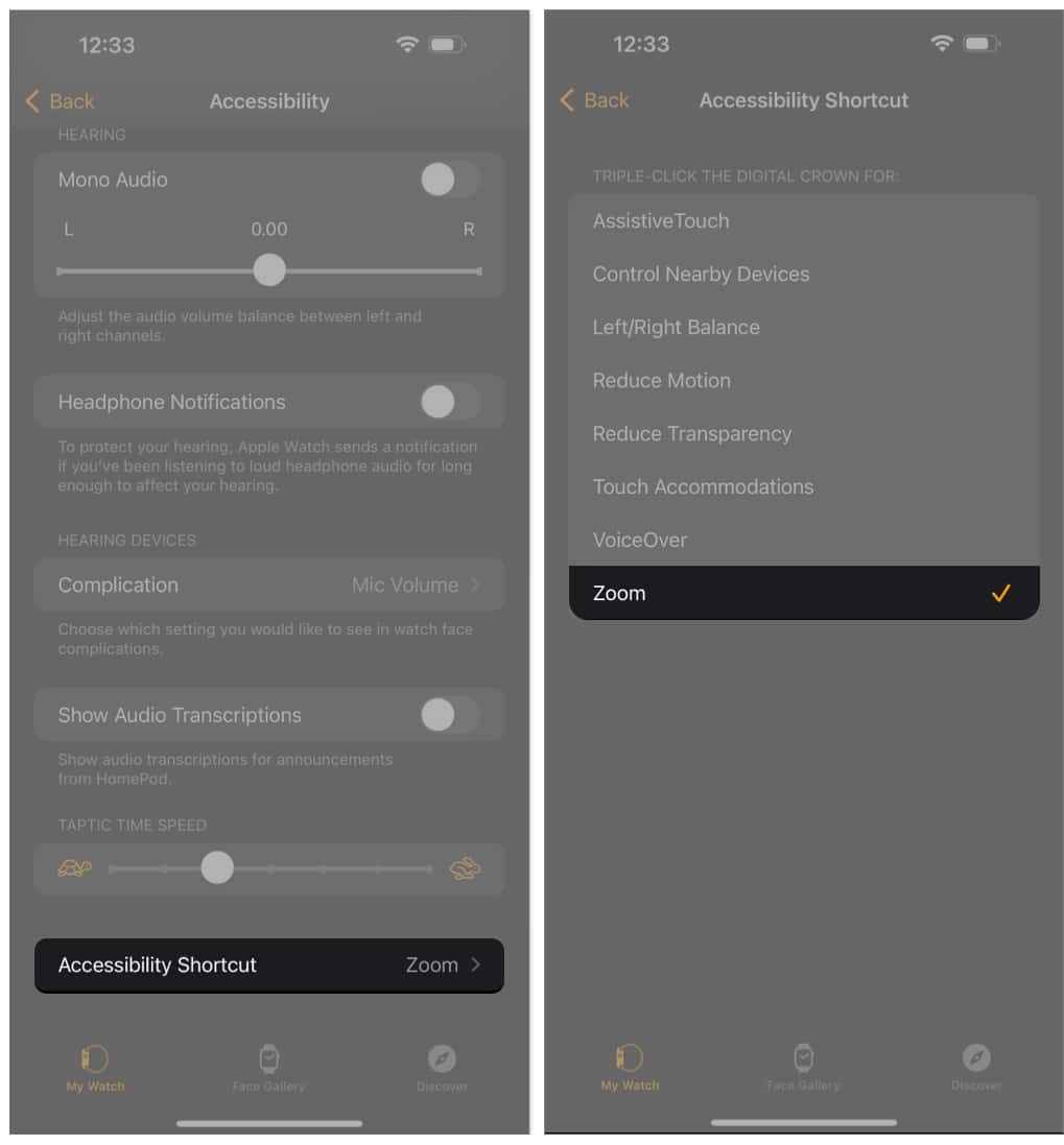 Set Apple Watch accessibility shortcut on iPhone