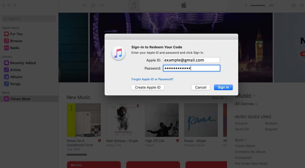 Sign in with Apple ID Password in Music App on Mac