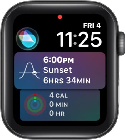 Siri Apple Watch face