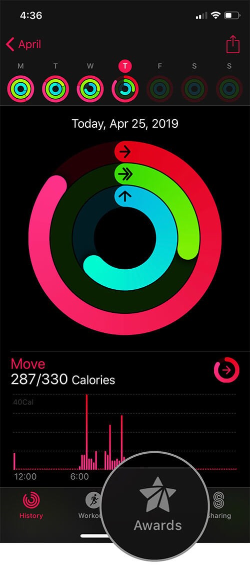 How to View Apple Watch Activity Awards on iPhone - 15