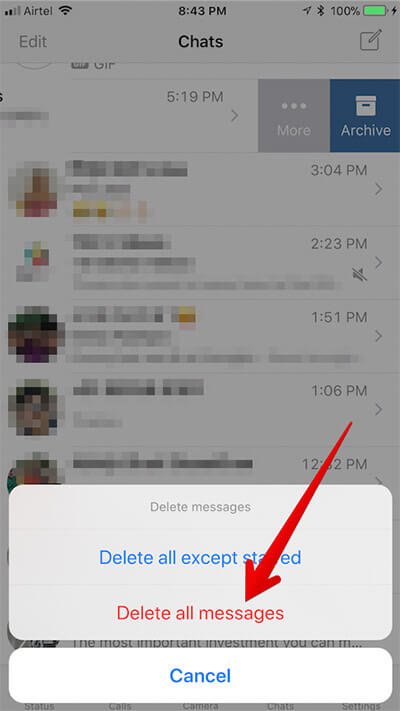 Tap on Delete All Messages in WhatsApp on iPhone
