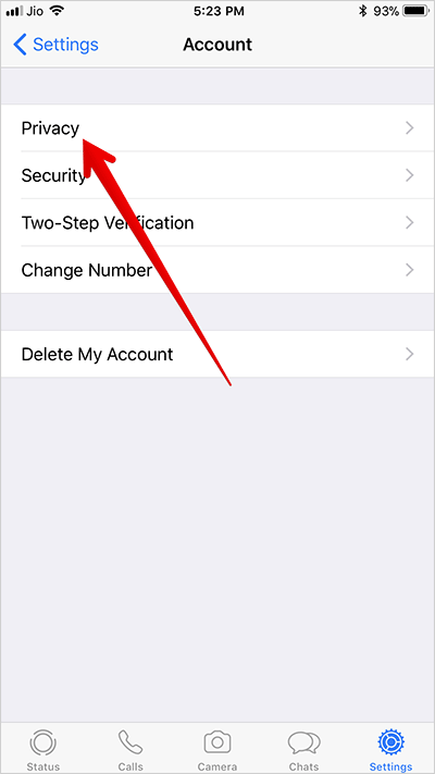 Tap on Privacy in WhatsApp Settings on iPhone