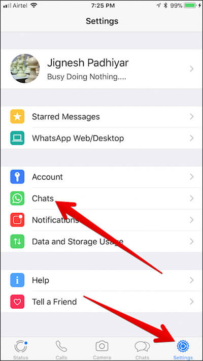 Tap on Settings then Chats in WhatsApp on iPhone