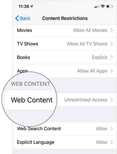 blocking websites on safari ipad Tap on Web Content in Content Restrications in iOS 12