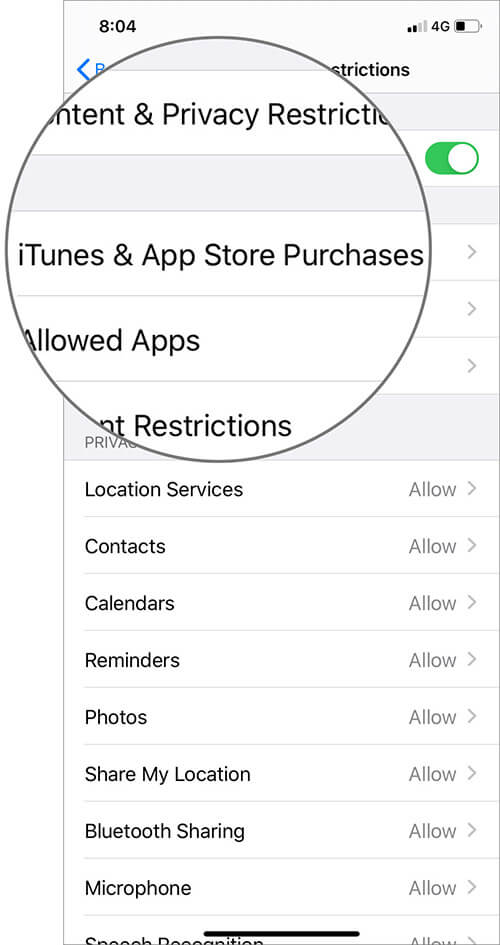 Tap on iTunes & App Store Purchases in iOS Settings App on iPhone