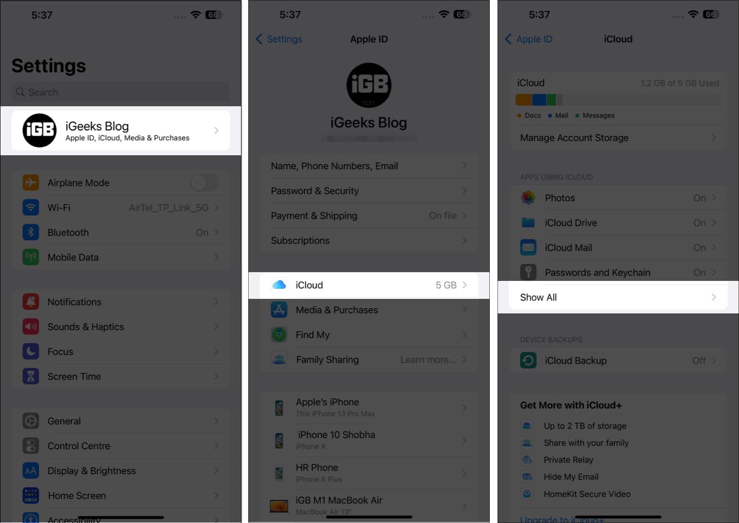 Tap on your Profile, iCloud, and Show All on iPhone