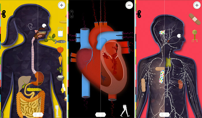 The Human body iPhone and iPad App Screenshot