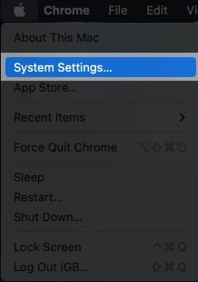 To access System Report on Mac, go to Apple logo, select System Settings