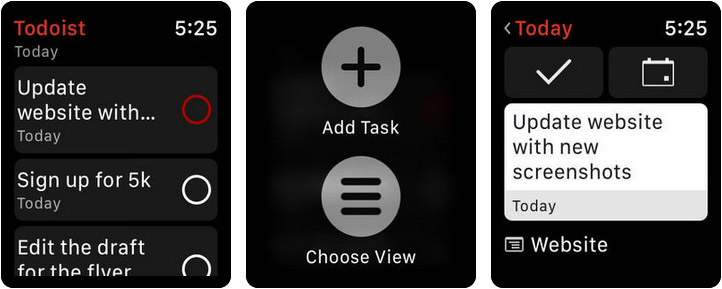 Todoist Apple Watch Reminder App Screenshot