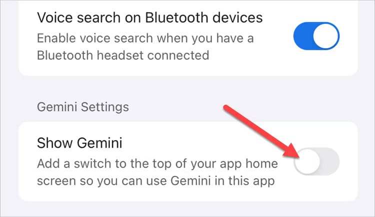 Toggle off show Gemini to remove Gemini AI app from Google on iPhone