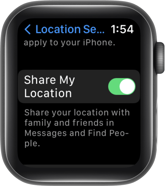 Turn on the toggle for Share My Location on Apple Watch