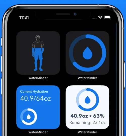 WaterMinder third party iOS 14 widget