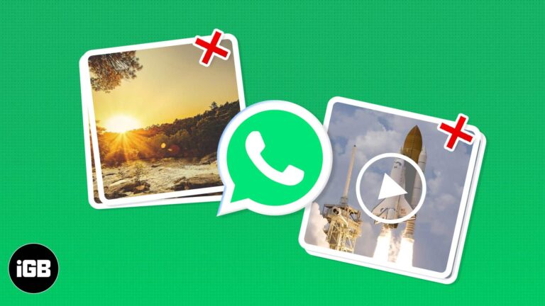 Can’t save WhatsApp photos and videos on iPhone? How to fix it