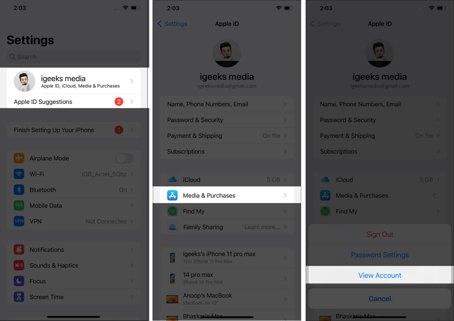 Apple id media and purchases view account in settings app