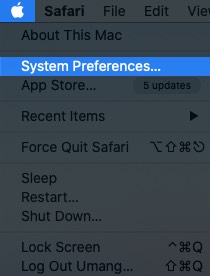 click on apple logo and select system preferences on mac