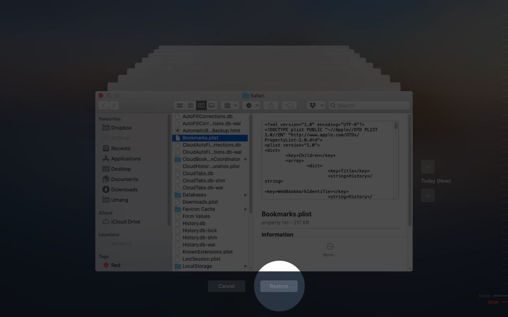 click on restore to recover deleted bookmark in safari using time machine