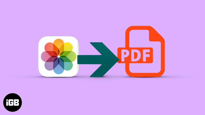 Convert Photo to PDF on iPhone and iPad