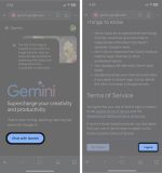How to use Gemini AI on iPhone: A Complete Guide – iGeeksBlog