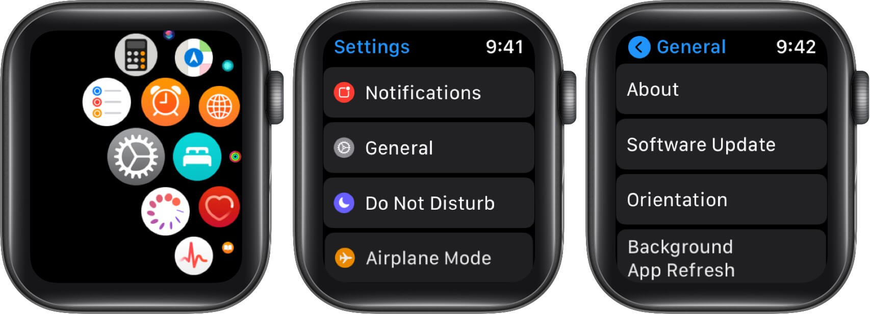 Open Settings Tap on General and Then Tap on Update on Apple Watch