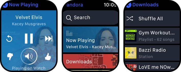 pandora apple watch music app screenshot