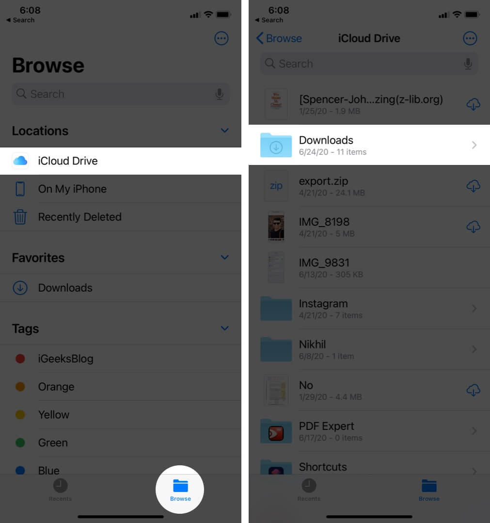 select location in browse tab and tap on downloads in files app on iphone