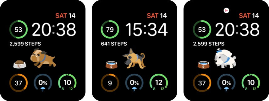 StepDog Apple Watch Health App Screenshot
