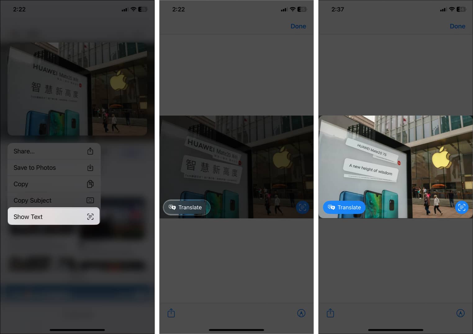 Tap show text tap translate in safari
