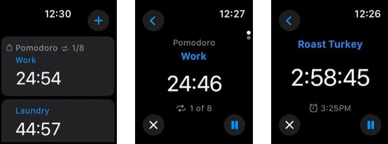 timer plus multiple timers app for apple watch