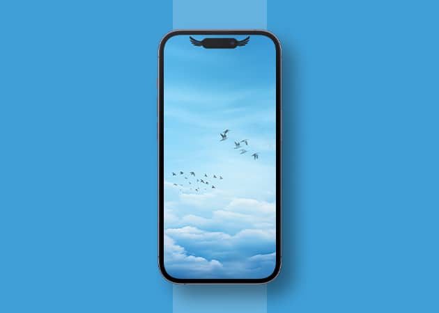Birds Flying Dynamic Island Wallpaper for iPhone