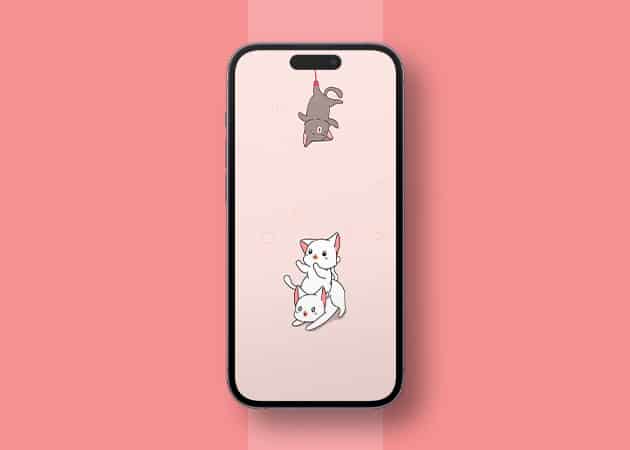 Cats and Mouse iPhone Dynamic Island Wallpaper in 4K