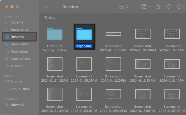 Copy and Paste Keychains folder on Mac Desktop