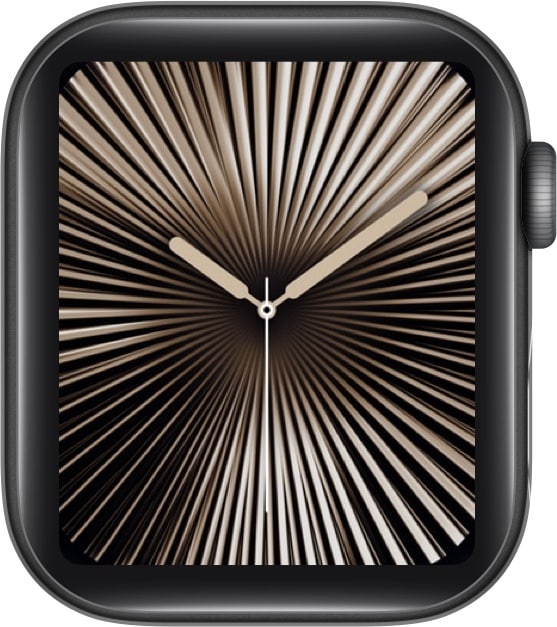 25 best Apple Watch faces to try in 2025 iGeeksBlog Reflections watch face in watchOS 11