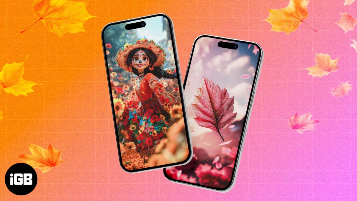 Best fall iphone wallpapers