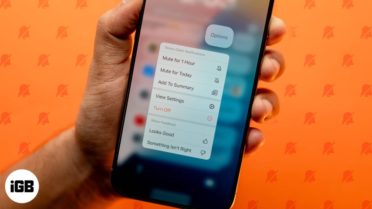 Notification options on the iphone lock screen